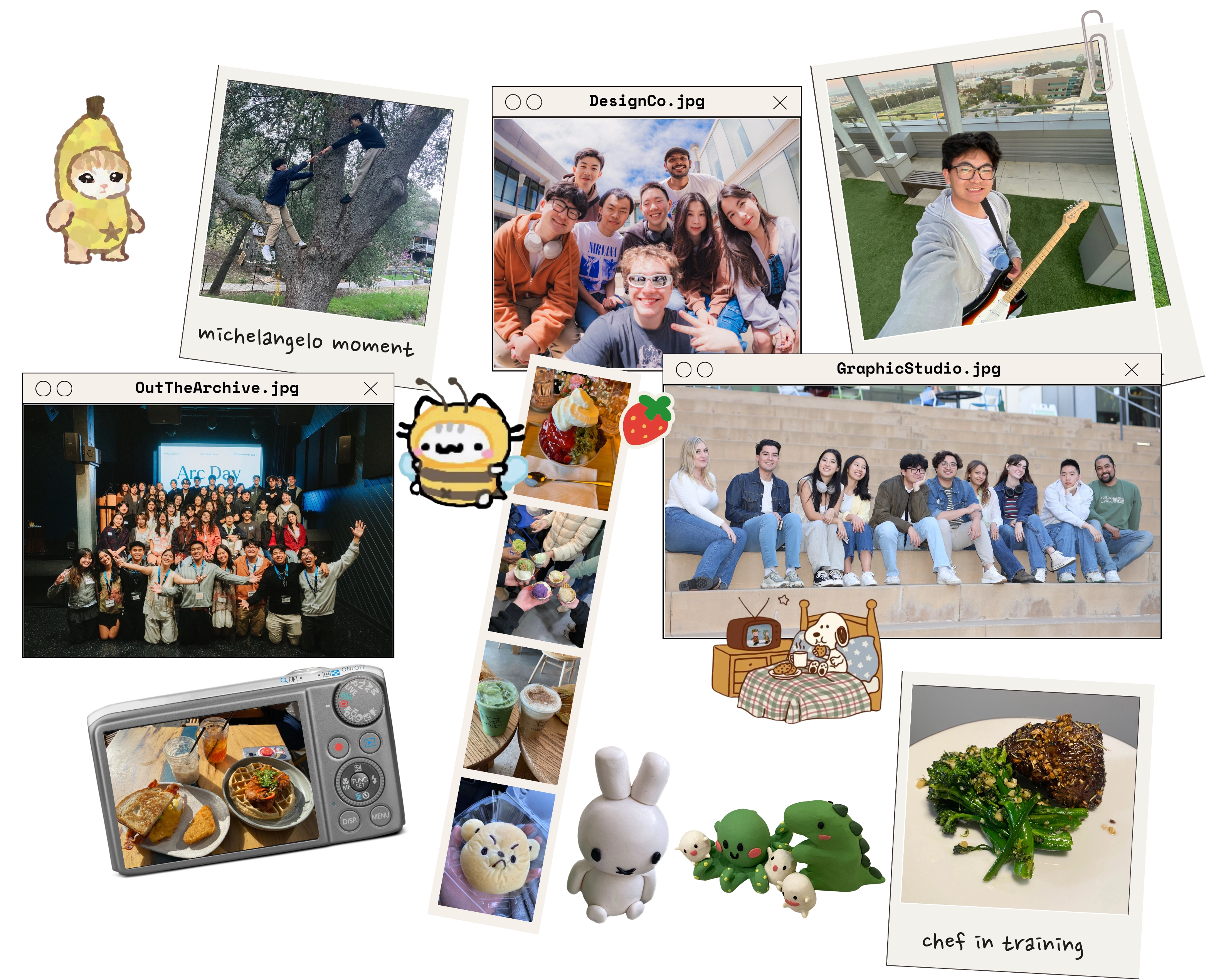 collage of images
