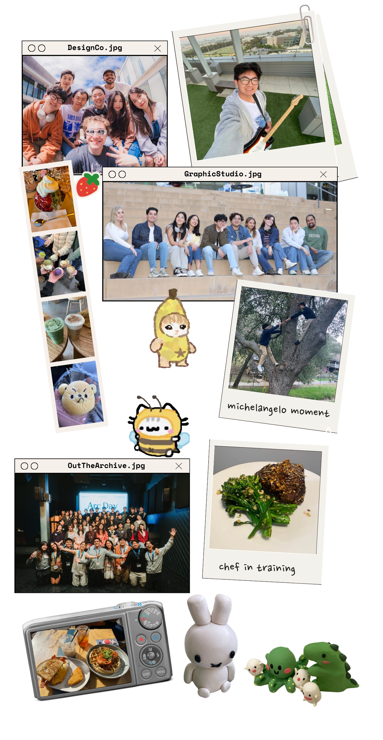 collage of images